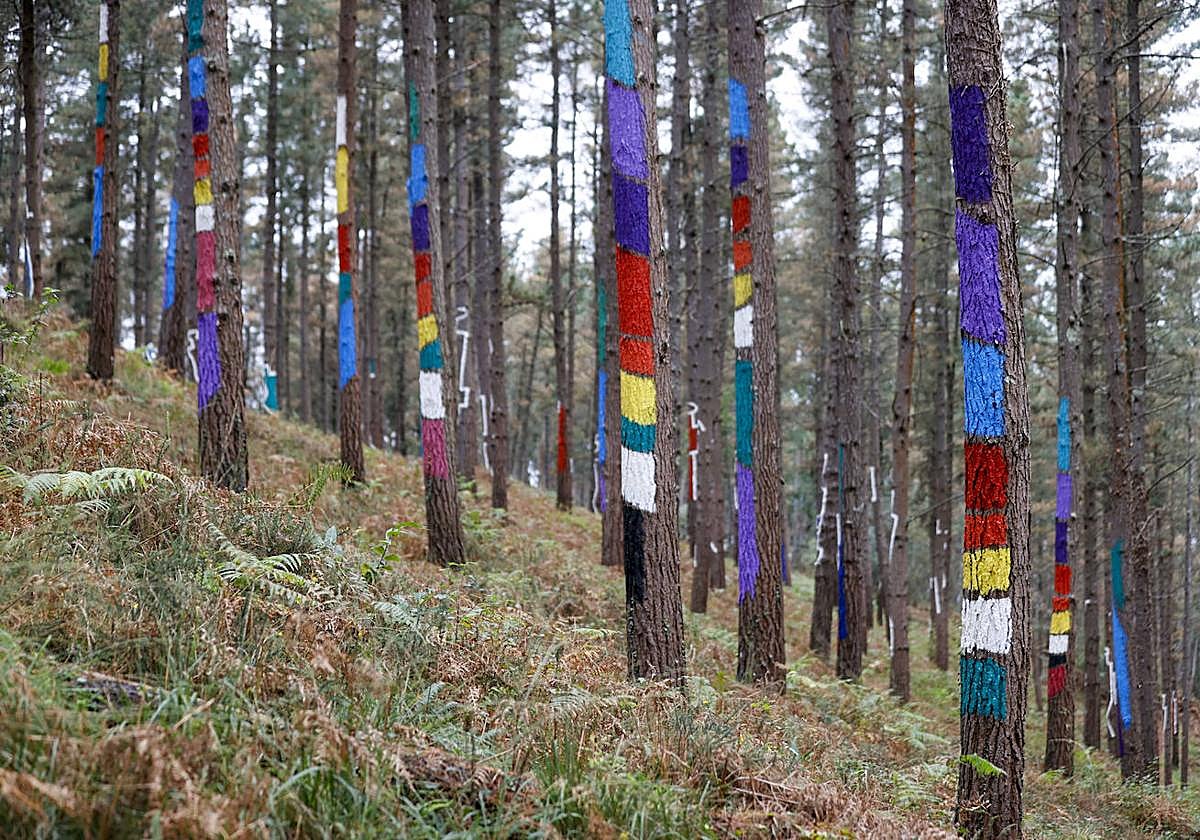 Bosque Encantado de Oma El bosque encantado de Oma se salva Las